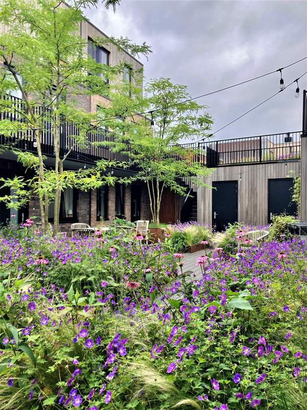 Nieuwbouw appartementen  Meer dan bouwen