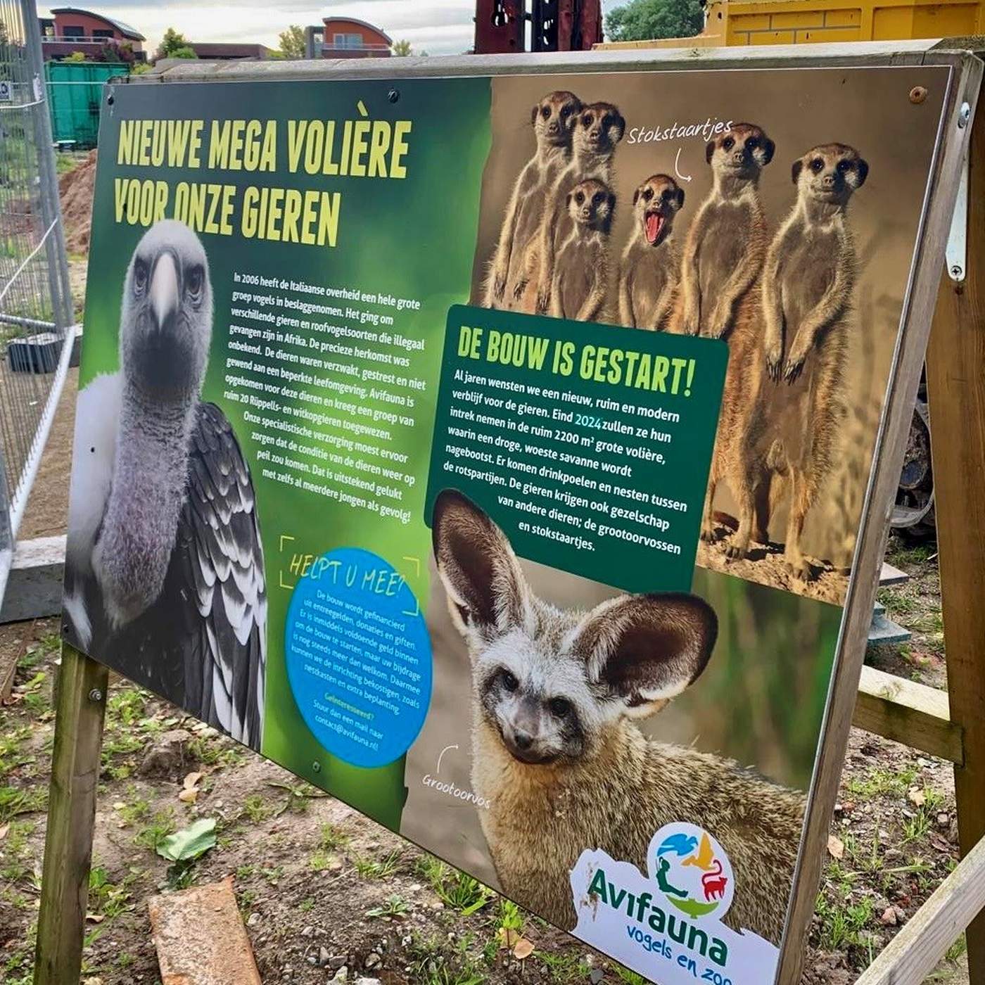 Realisatie gierenvolière bij Vogelpark Avifauna.  Meer dan bouwen