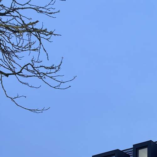 Nieuwbouw villa woning Den Haag  Meer dan bouwen