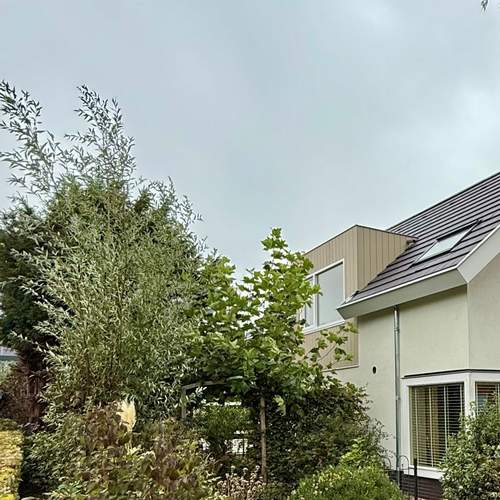 Metamorfose woning  Meer dan bouwen