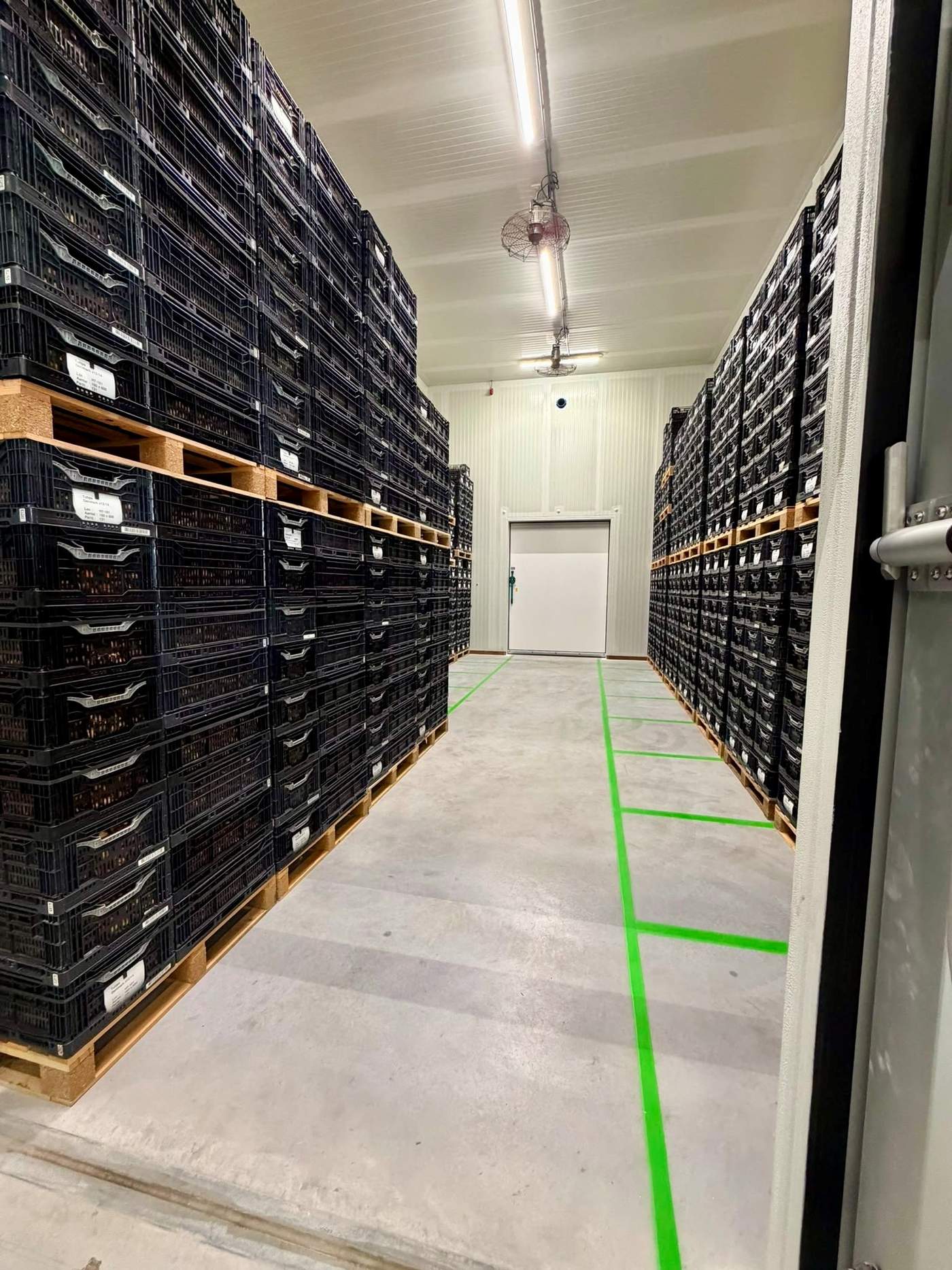 Uitbreiding bedrijfspand Bulb Trade Park Noordwijkerhout  Meer dan bouwen